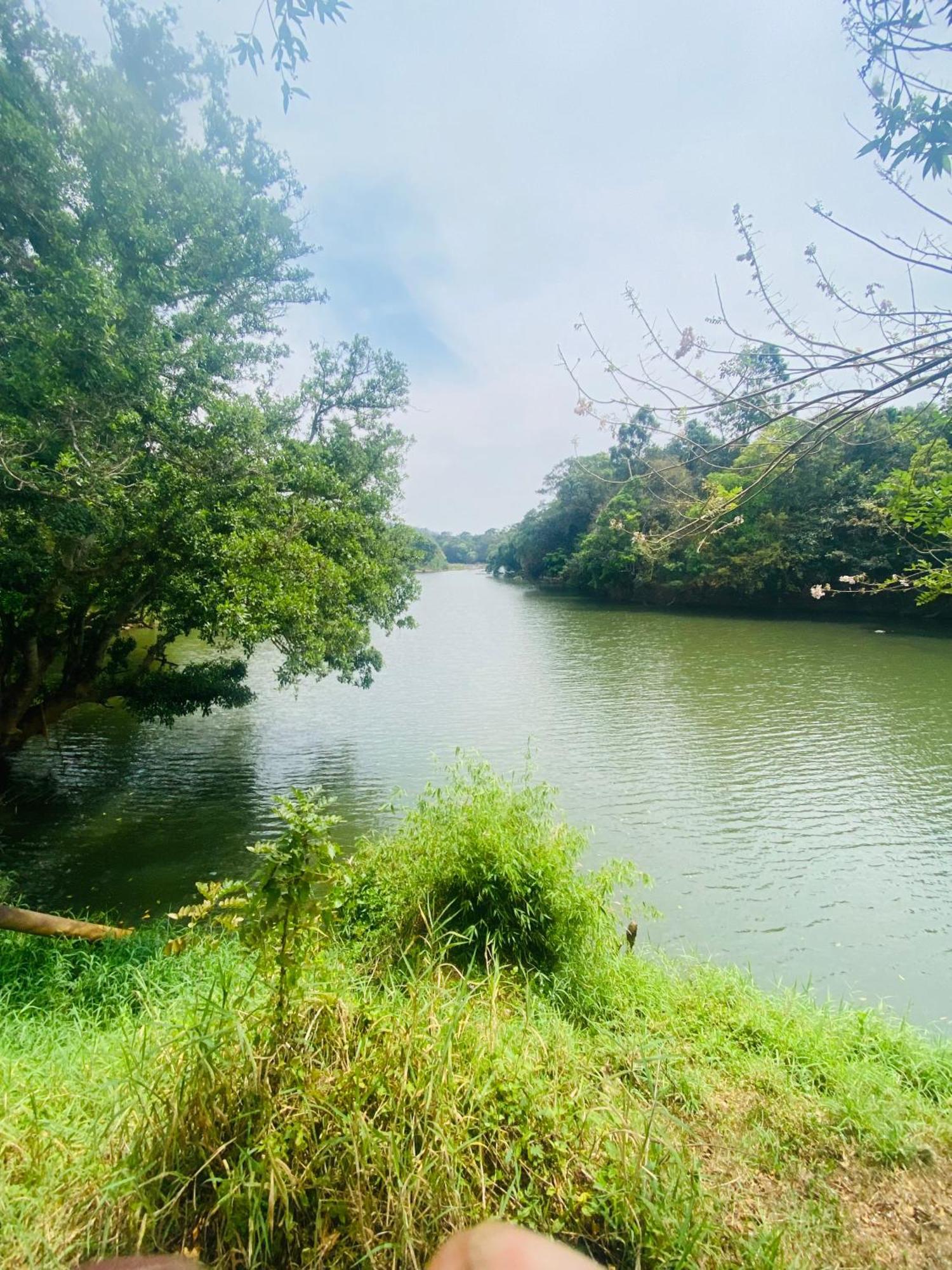 Happydays Hut Villa Mananthavady Bagian luar foto